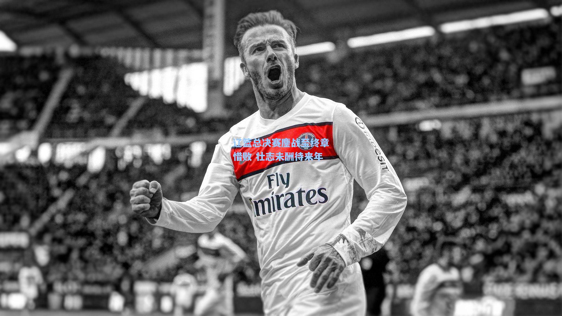 辽篮总决赛鏖战至终章惜败 壮志未酬待来年